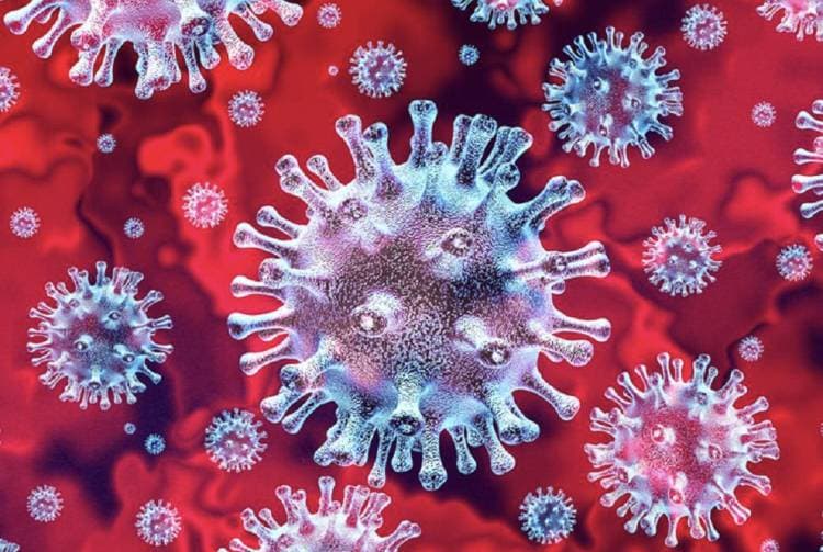 U šumskoj tišini Papuka ponovno izgovorena imena 11 hrvatskih heroja