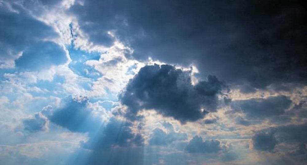 Kaptolski predvodnici povrtlarstva krenuli u berbu: Prve glavice kupusa obitelji Mikić već na putu za Zagreb
