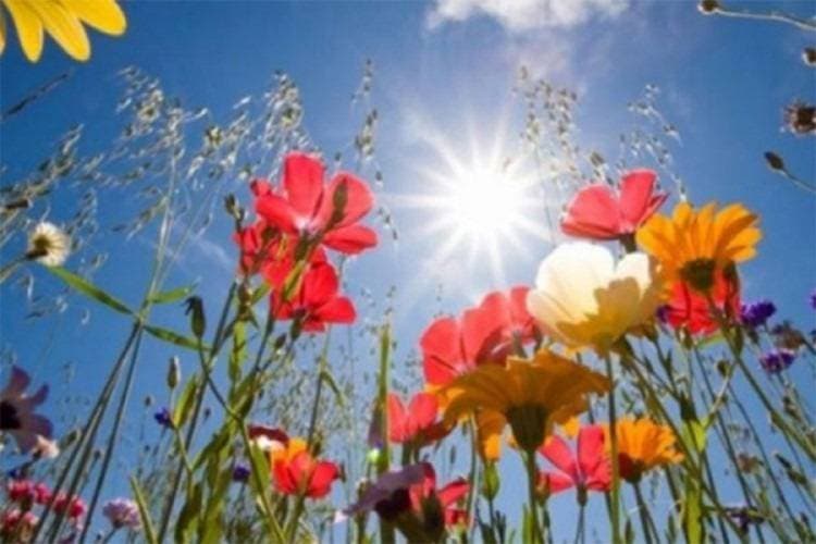 Slavonski Brod ugostio više od 300 trkača na 9. Polojskoj utrci