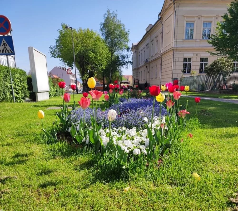Foto 180973